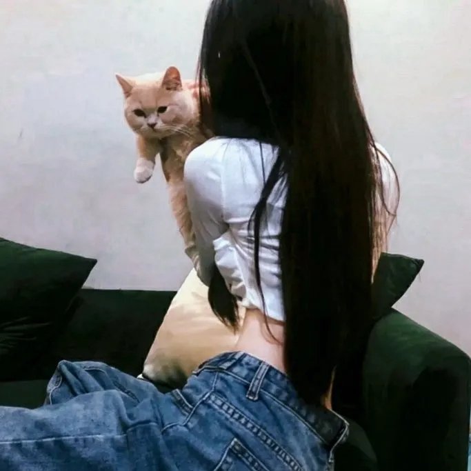 再见汪先森